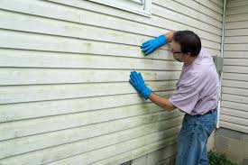 Best Historical Building Siding Restoration  in Briarcliff, TX